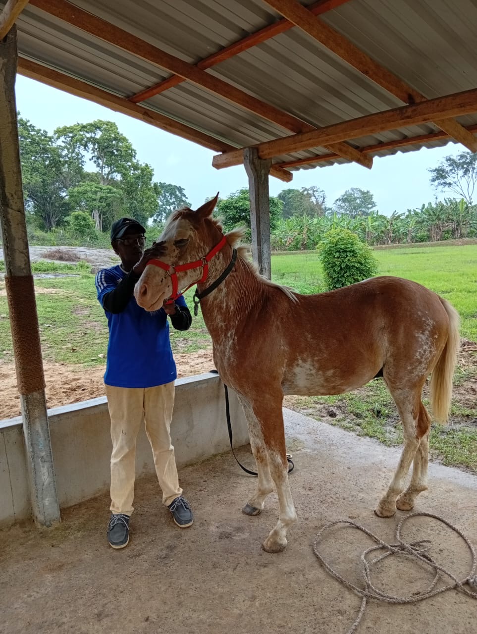 Equestrian gallery image 6